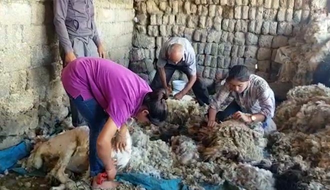 KIŞIN DERS ÇALIŞIP, YAZIN KOYUN KIRKIYORLAR