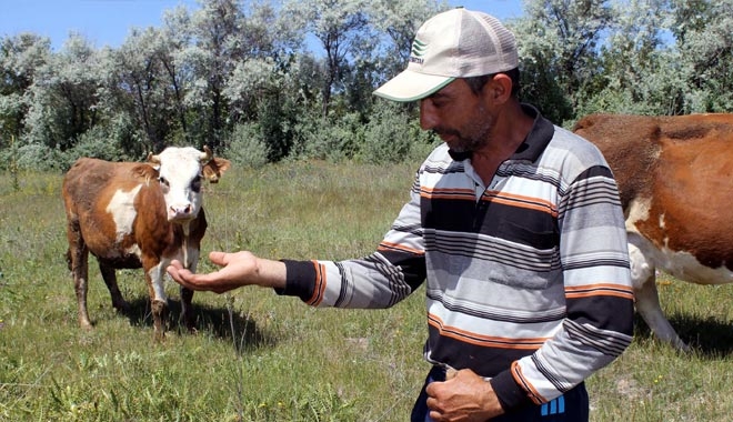 1 AYDA 5 KEZ KENE ISIRDI