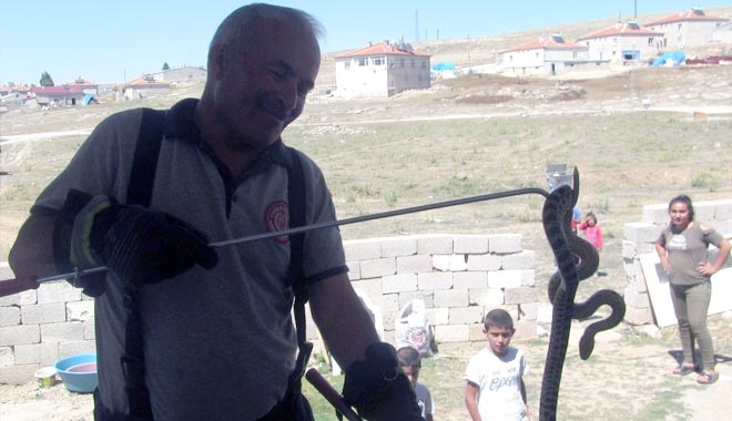 EVE GİREN YILANI İTFAİYE ERLERİ YAKALADI