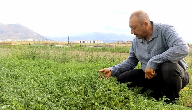 BİLİNÇSİZ SULAMA ENERJİ İSRAFINA NEDEN OLUYOR