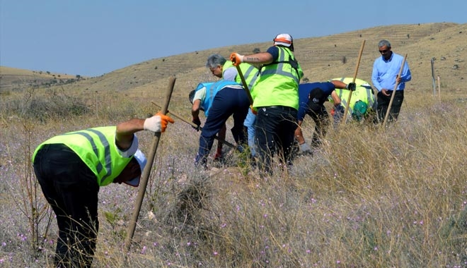 KAYSERİ SAĞLIK MÜDÜRLÜĞÜ HATIRA ORMANINA SAHİP ÇIKIYOR