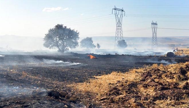 İNCESU- SÜKSÜN´DE TAHIL EKİLİ ALANLAR KÜLE DÖNDÜ?