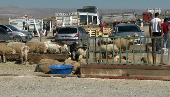 KURBAN SATIŞLARI BAYRAMIN 1. GÜNÜ´DE SÜRDÜ