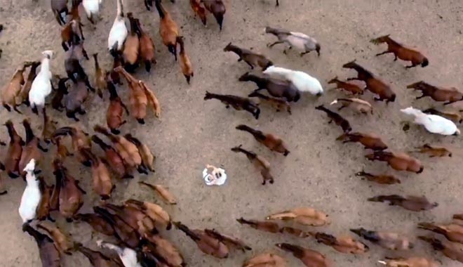 HÖRMETÇİ VE KAPADOKYA YENİ EVLENEN ÇİFTLERİN UĞRAK MEKANI OLDU