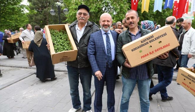 KOCASİNAN´DA DAĞITILAN DOMATES FİDELERİNİN ÜRÜNLERİ SALÇA OLDU