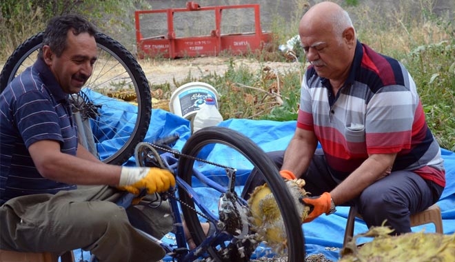 AY ÇEKİRDEĞİ AYIKLAMANIN KOLAY YOLU
