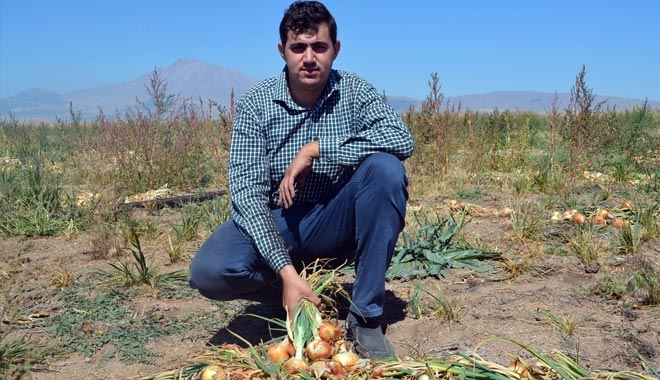KAYSERİ´DE İLK DEFA SOĞAN EKEN ÇİFTÇİ YILMAZ: