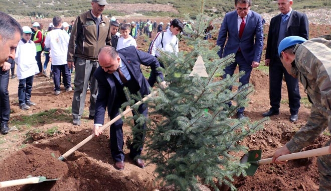 11.11´DE 11 MİLYON FİDAN