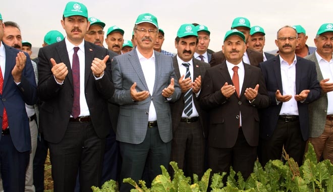 SİVAS´TA PANCAR HASADI BAŞLADI