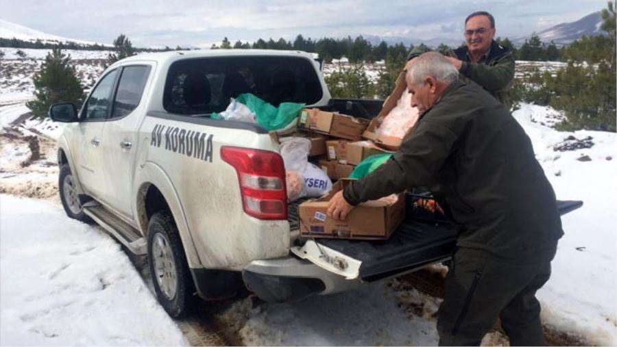 YABAN HAYATINA DESTEK DEVAM EDİYOR
