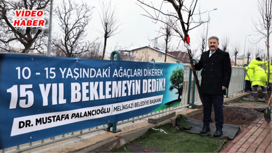 MELİKGAZİ’DE 2020 YILI AĞAÇLANDIRMA VE YEŞİLLENDİRME YILI OLACAK