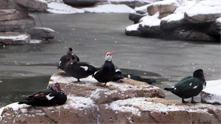 KAYSERİ’DE SOĞUK HAVA GÖLÜ DONDURDU