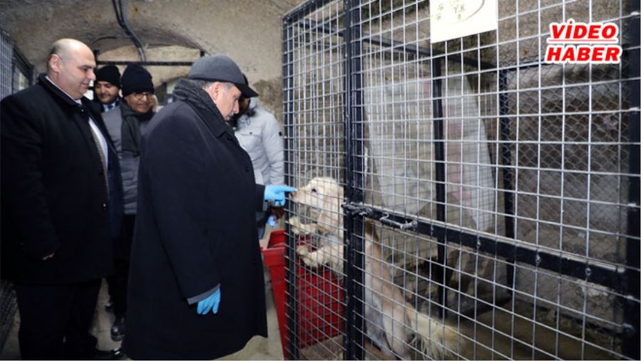 PATİ KÖY KIŞIN DA GÜZEL