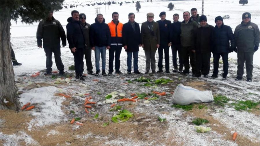 YABAN HAYATINA TAM DESTEK