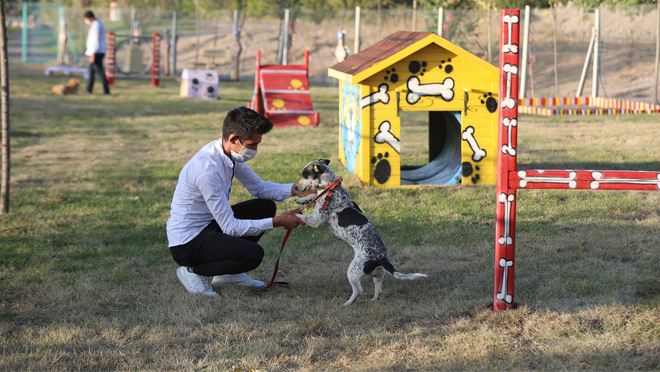 ‘PATİ YOLU’NA HAYVANSEVERLERDEN TAM NOT