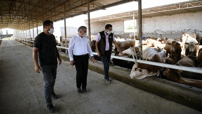 ASIL SORUN ETTE DEĞİL OTTA