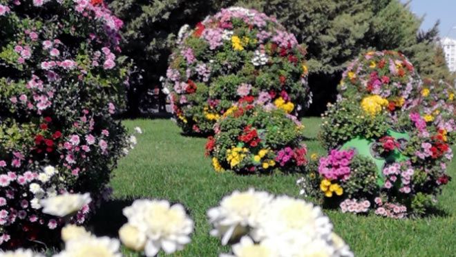 BÜYÜKŞEHİR’LE KAYSERİ’YE ‘SONBAHAR’ GÜZELLİĞİ