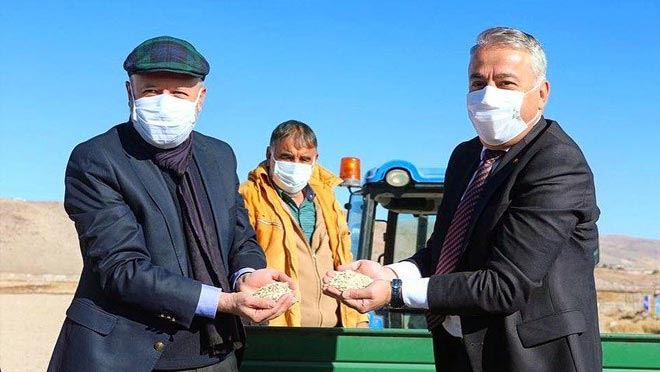 ATA YADİGARI SİYEZ VE GACER BUĞDAYININ TOHUMLARI, KOCASİNAN’DA FİLİZLENİYOR