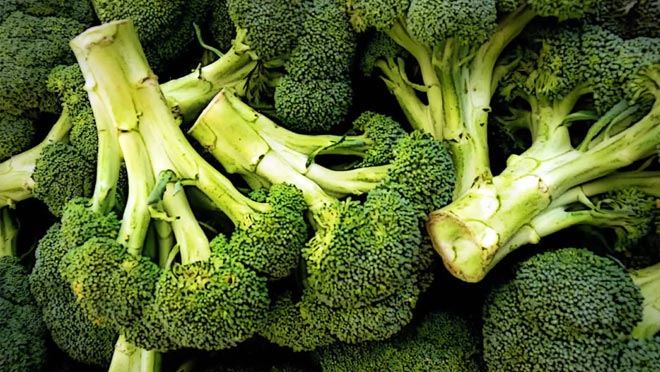 BOL BOL BROKOLİ TÜKETİN