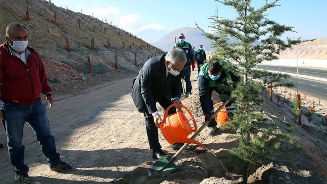 BÜYÜKŞEHİR, 100 BİN FİDANI TOPRAKLA BULUŞTURUYOR