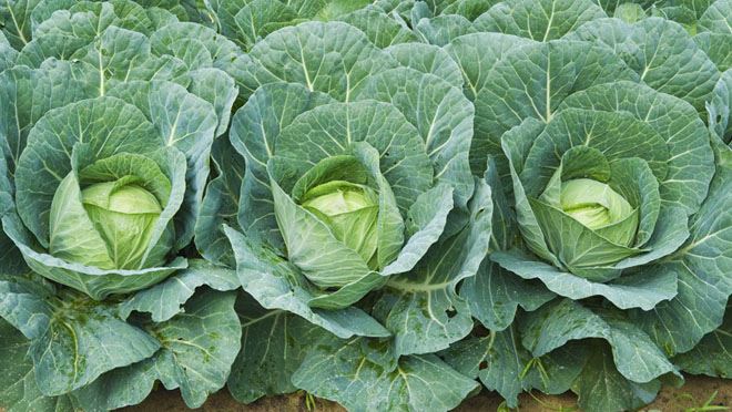 DİKKAT UZMANLAR UYARIYOR !