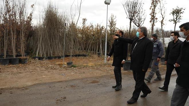 BAŞKAN PALANCIOĞLU FİDANLIĞI İNCELEDİ