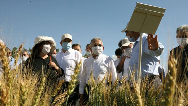 BÜYÜKŞEHİR’DEN TARIM VE HAYVANCILIĞA 13 MİLYON TL’LİK YATIRIM