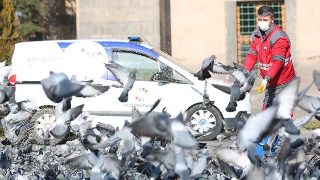 KOCASİNAN’DA SEVİMLİ KÜÇÜK DOSTLARA YEM VE MAMA TAKVİYESİ