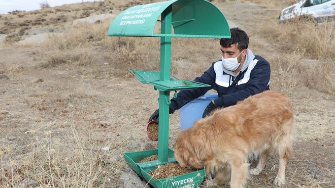 TALAS BELEDİYESİ’NDEN SOKAK HAYVANLARINA YARDIM ELİ