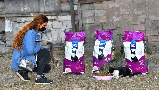 BÜYÜKŞEHİR’DEN SOKAK HAYVANLARI GÖNÜLLÜLERİNE DESTEK