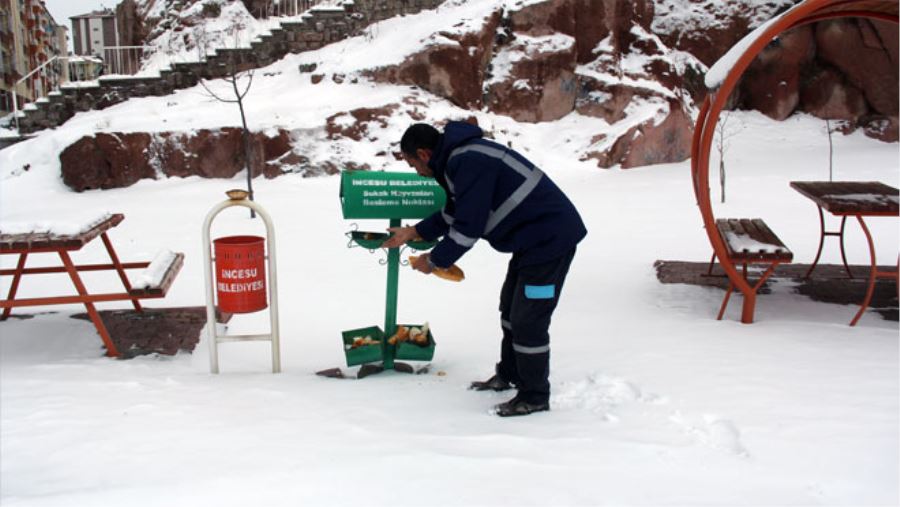 İNCESU, SOKAK HAYVANLARI’NI UNUTMADI