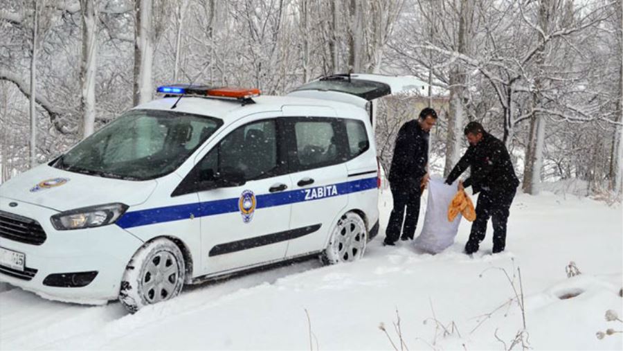 SOĞUK HAVA HAYVANLARI DA OLUMSUZ ETKİLİYOR