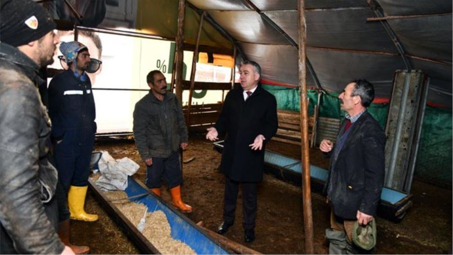 İL TARIM VE ORMAN MÜDÜRÜ ŞAHİN KAR YAĞIŞINDA ÇÖKEN AĞILLARDA İNCELEMELERDE BULUNDU