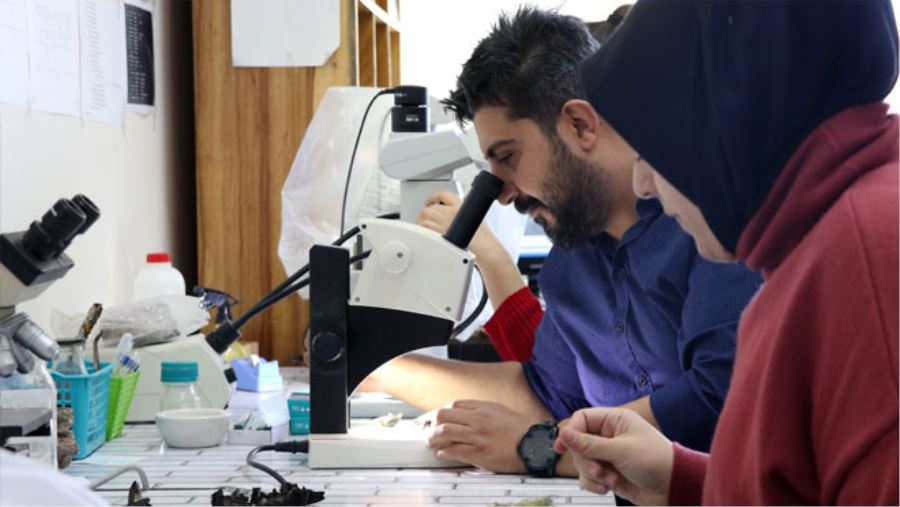 İKLİM DEĞİŞİKLİĞİ ANTARKTİKA