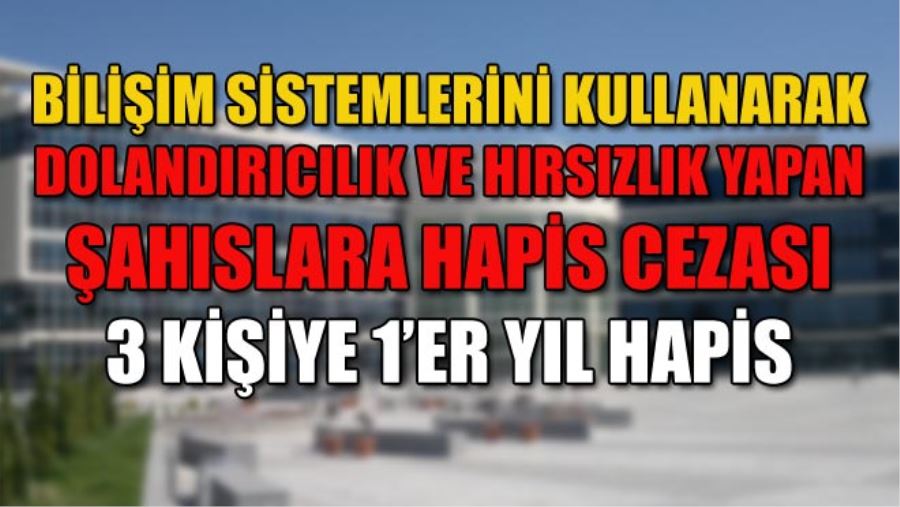 BİLİŞİM SİSTEMLERİNİ KULLANARAK DOLANDIRICILIK VE HIRSIZLIK YAPAN ŞAHISLARA HAPİS CEZASI