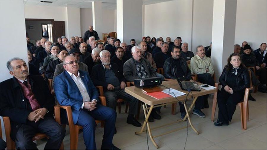 CEVİZLER YEŞERECEK,