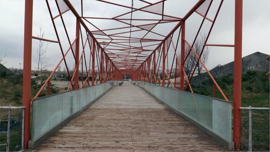 HAYVANAT BAHÇESİ ISSIZ KALDI