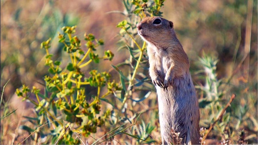 HAVALAR ISINDI, GELENGİLER ORTAYA ÇIKTI