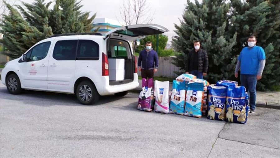 6 BİN KİLOGRAM YEM VE MAMA DESTEĞİ SAĞLANDI