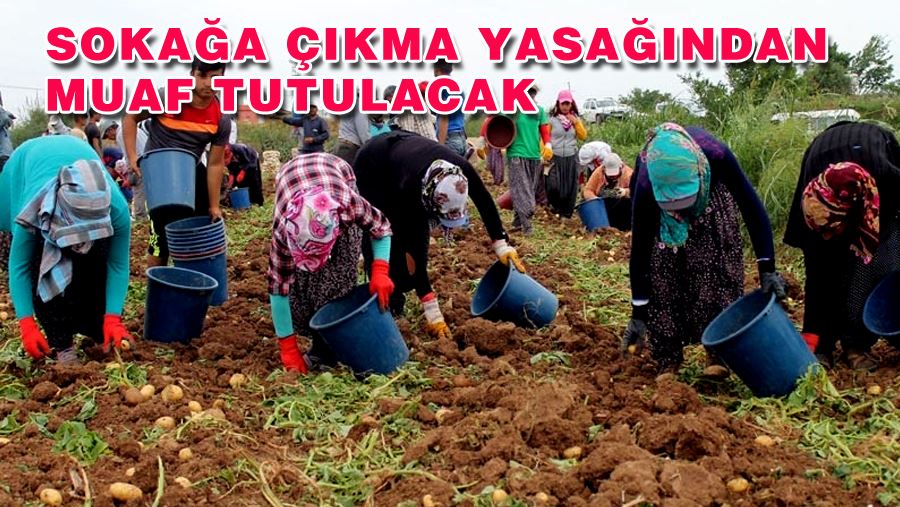 TARIM VE ORMAN BAKAN PAKDEMİRLİ