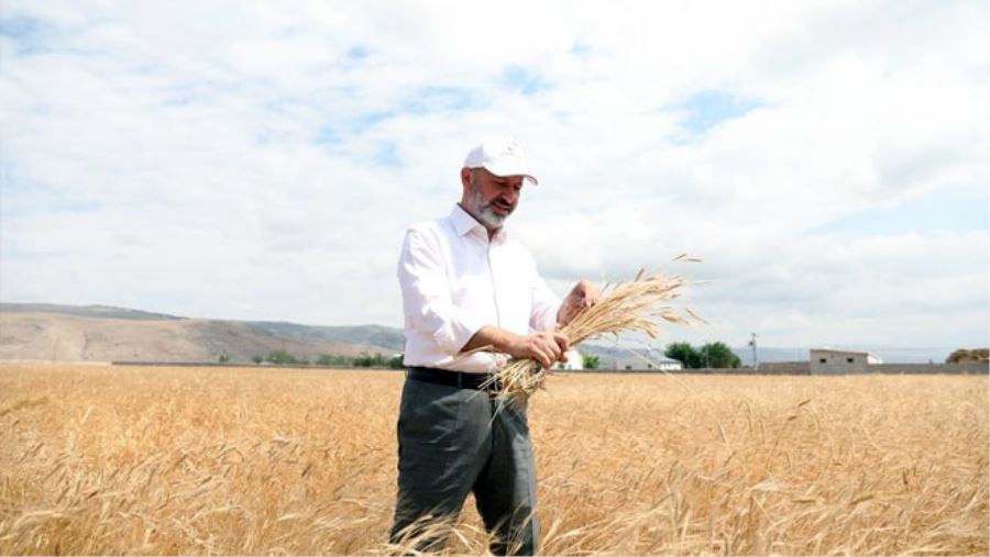 112 BİN METREKARE ARAZİDE ÜRETİM SEFERBERLİĞİ