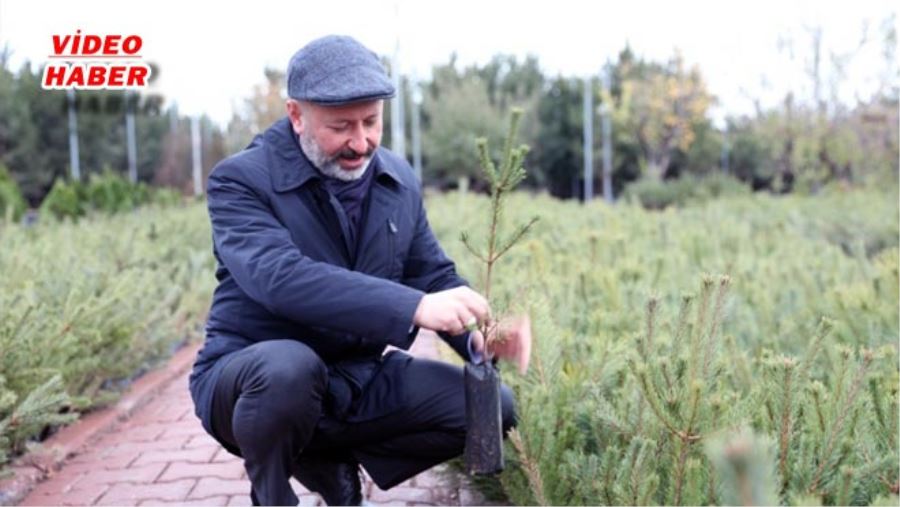KOCASİNAN’DA, AĞAÇLANDIRMA ÇALIŞMALARI REKORA KOŞUYOR