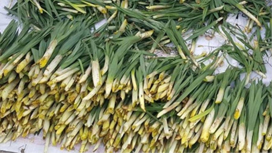  ‘ÇİRİŞ’ TÜKETMENİN TAM ZAMANI