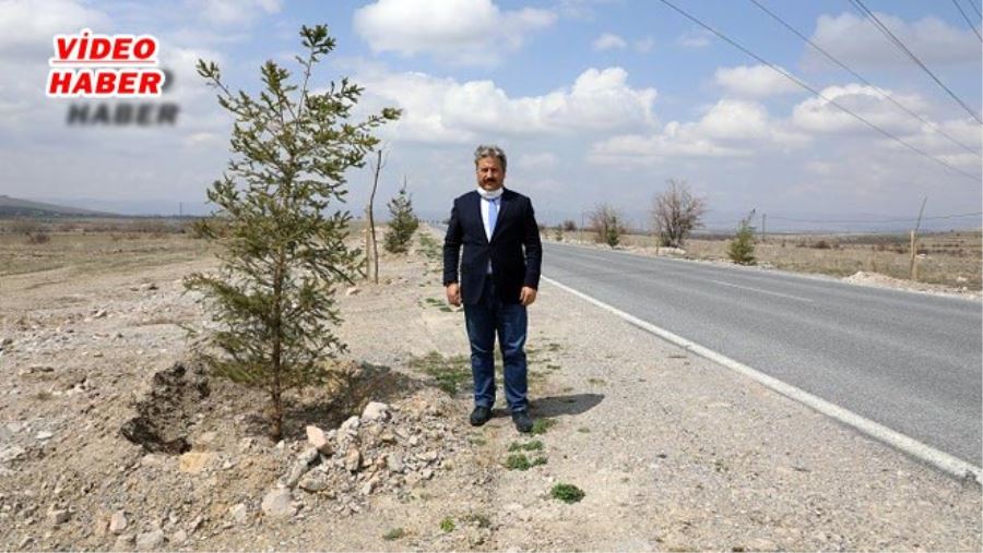 GÜZELKÖY VE GÜRPINAR YOLU YENİ AĞAÇLARLA ŞENLENECEK