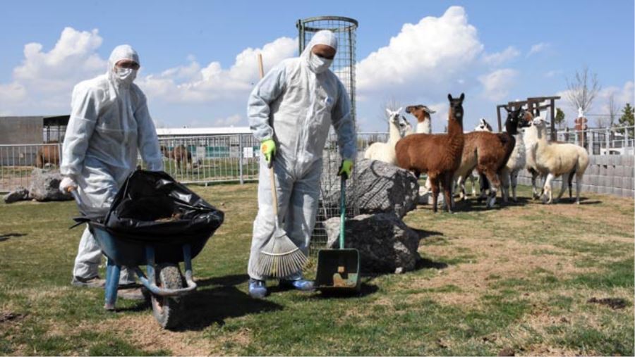 HAYVANAT BAHÇESİNİN SAKİNLERİNE KORONAVİRÜS TEDBİRİ