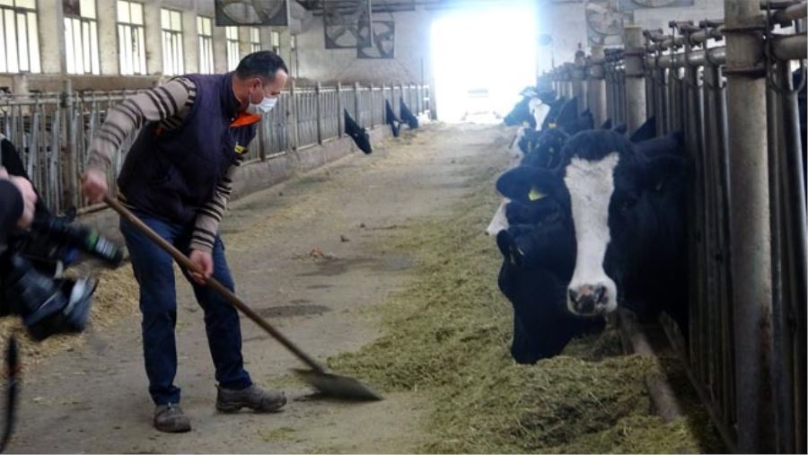 KORONA VİRÜS ÜRETİMİ KISITLAYAMADI