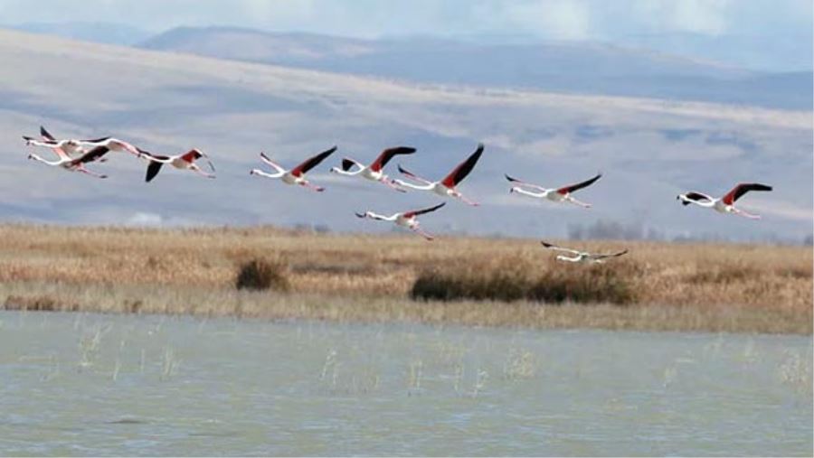 SULTAN SAZLIĞI İÇİN ‘KESİN KORUNACAK ALAN’ TALİMATI