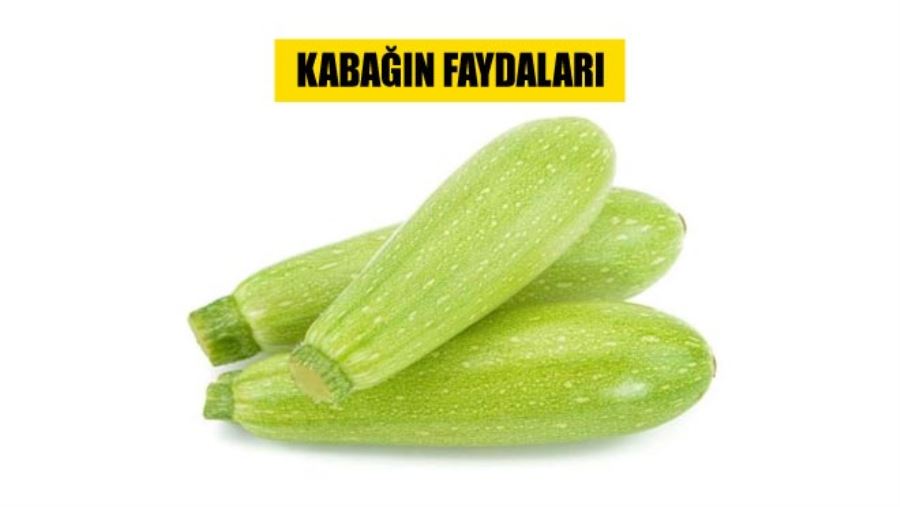 KABAĞIN FAYDALARI