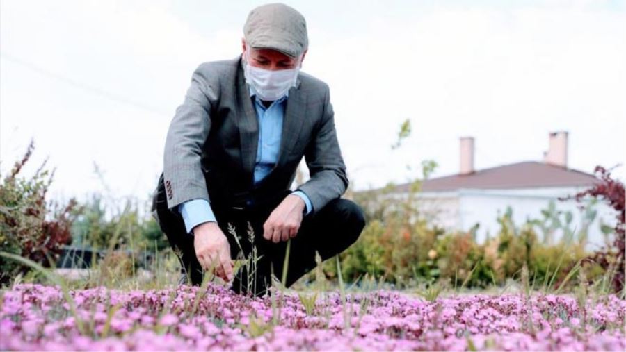 DAHA YEŞİL KOCASİNAN İÇİN