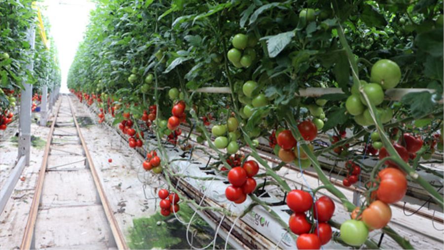 BU TESİSTE ÜRETİLEN HİÇBİR ŞEY BOŞA GİTMİYOR